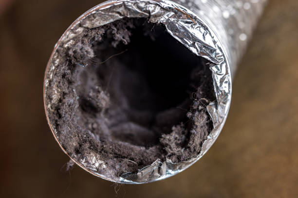 Best Affordable Duct Cleaning Services  in Maan, ND